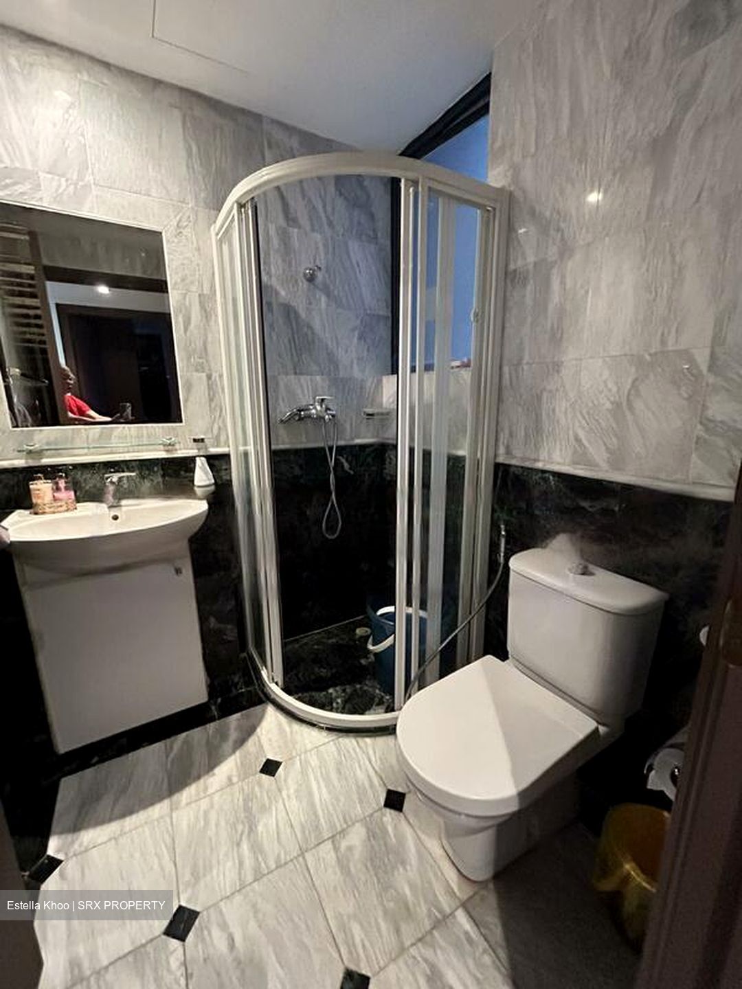 Evelyn Mansions (D11), Apartment #502030491